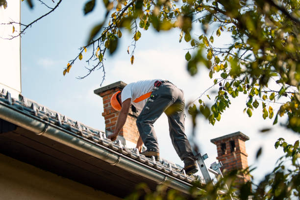 Quick and Trustworthy Emergency Roof Repair Services in Chesterfield, SC